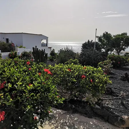 Hibiscos 404 *